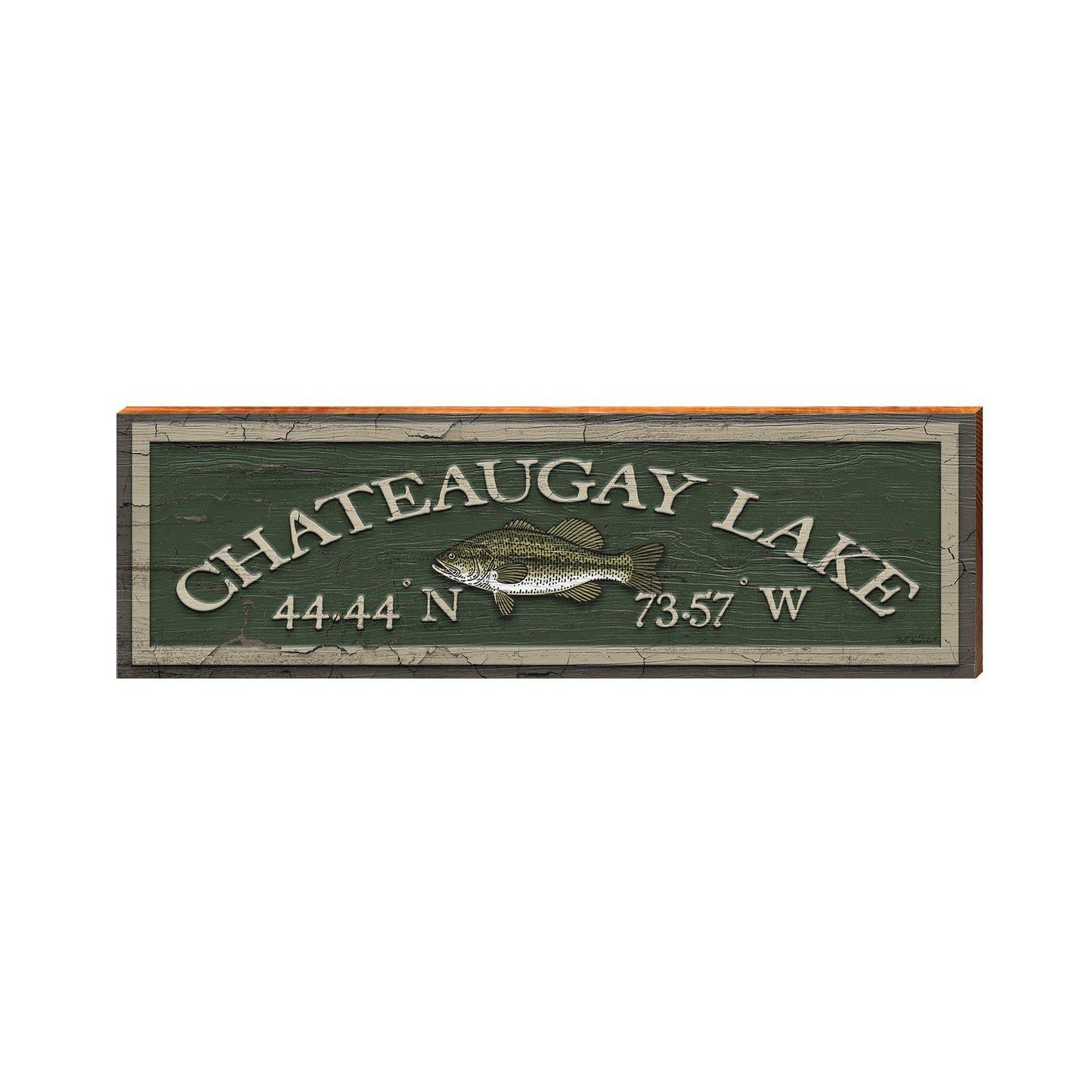 Chateaugay Lake Fish Green Latitude Longitude ALI1 | Wall Art Print on Real Wood