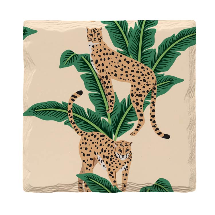 Cheetahs |Drink Coaster Set