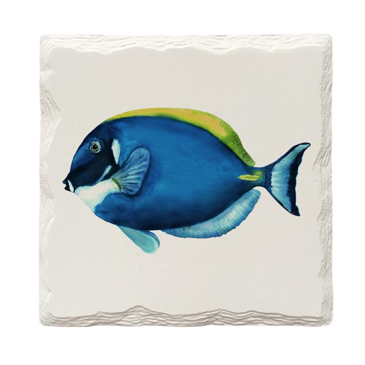 Dory Fish |Drink Coaster Set