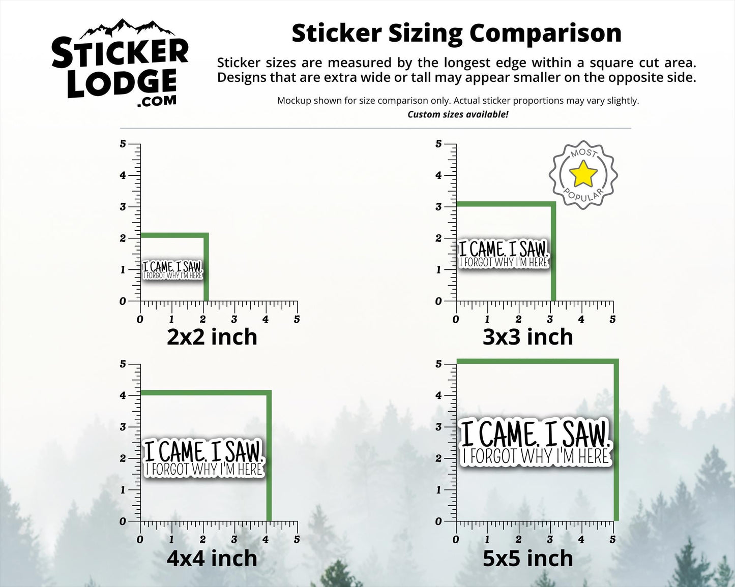 I Came, I Saw, I Forgot Why I'm Here Vinyl Sticker