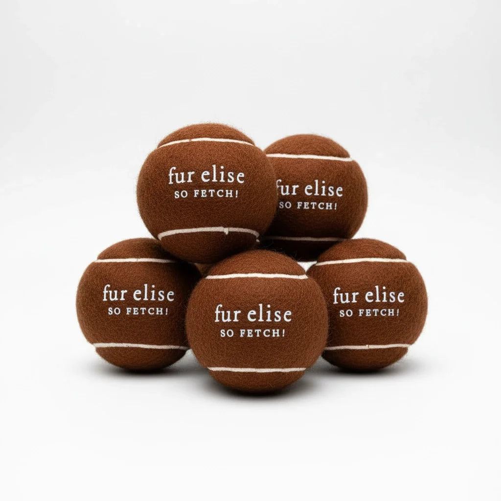 So Fetch! Tennis Ball Pack of 5 - Brune