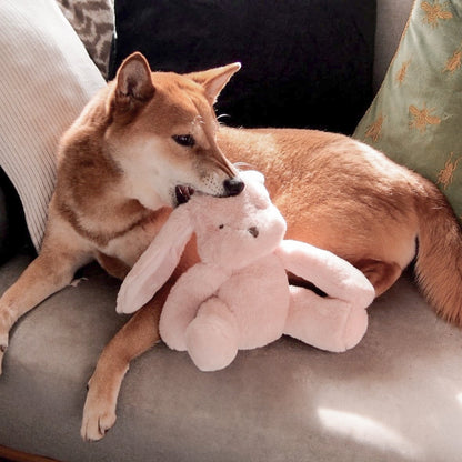 Fur Elise Ruby Plush Toy - Maxi