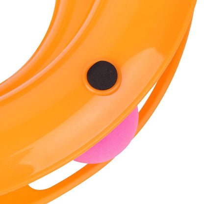 Interactive Cat Ball Disk Toy