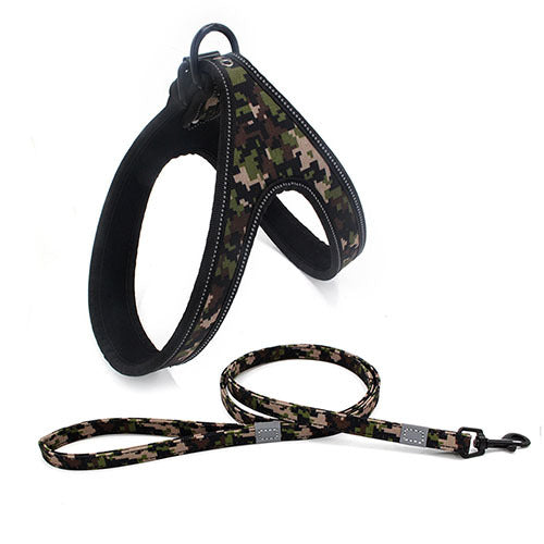 Night-Safe Dog Harness & Leash Set