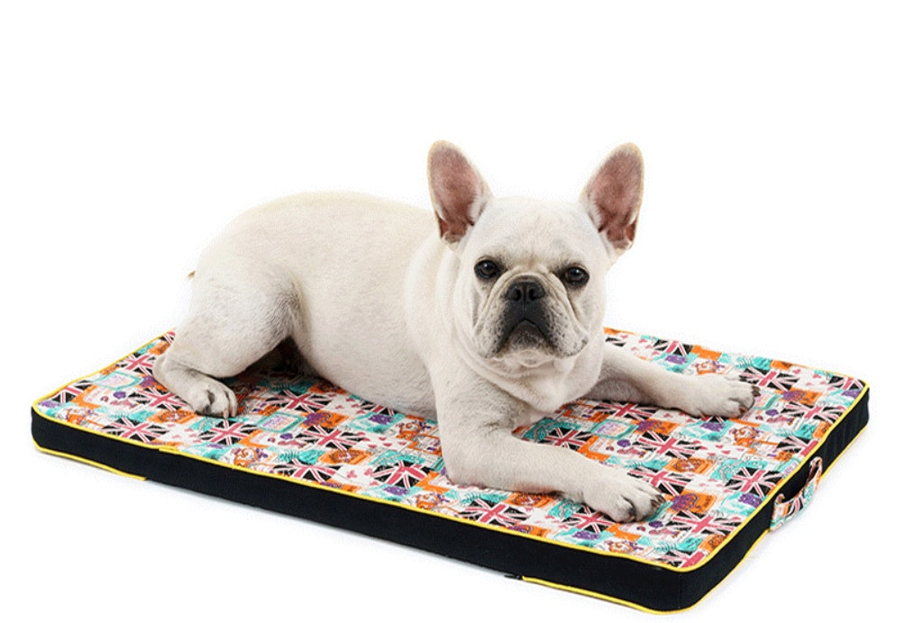Thickened Printing Canvas Pet Mat
