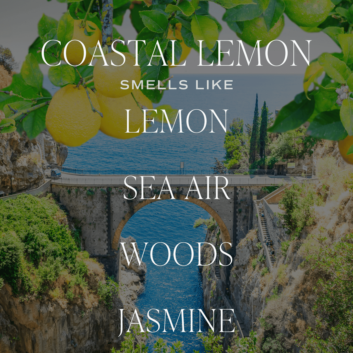 Coastal Lemon Soy Candle - Tinted Glass Jar - 12 oz