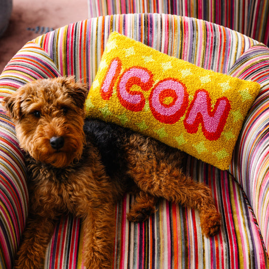 Icon Pillow