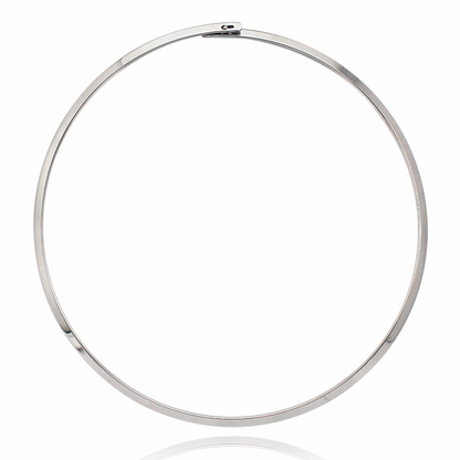 Sleek Collar Choker Necklace 18K Non Tarnish