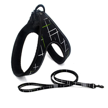 Night-Safe Dog Harness & Leash Set