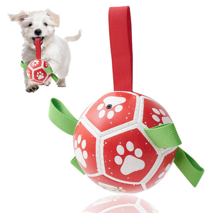 Interactive Football Ball Dog Toy