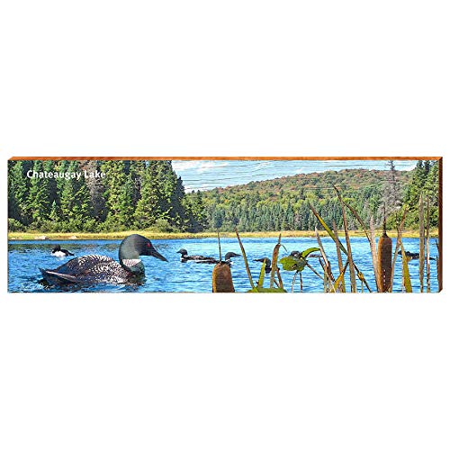 Chateaugay Lake Loons on Lake ALI1 | Wall Art Print on Real Wood