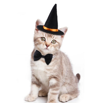 Halloween Pet Witch Hat + Bow Tie Set