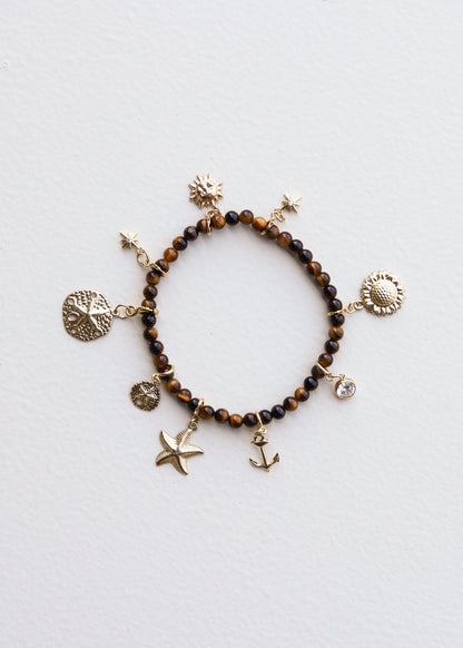 Polished Tiger's Eye || Adult Bracelet