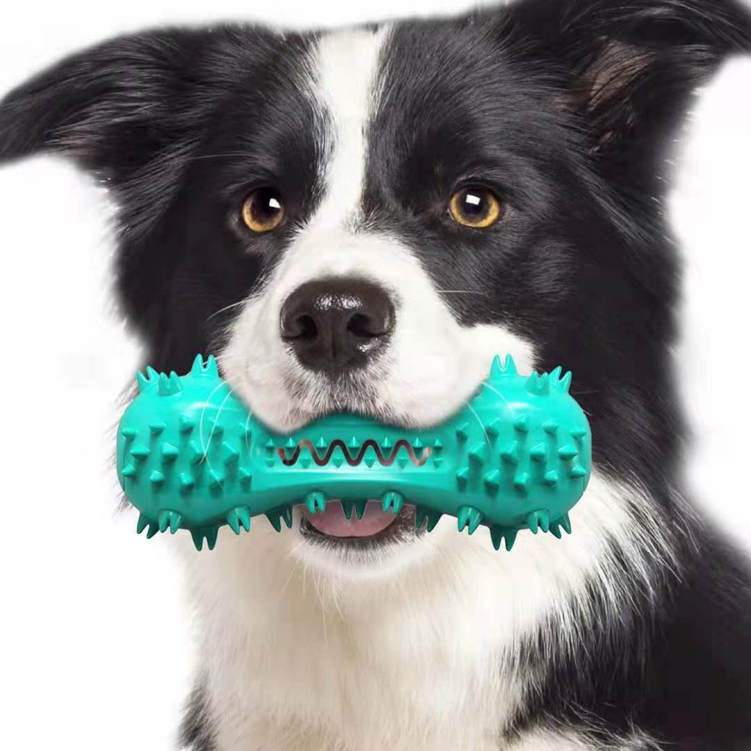 Dog Teeth Cleaning Chew Toy