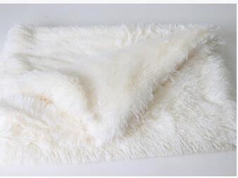 Warm Soft Wool Pet Blanket