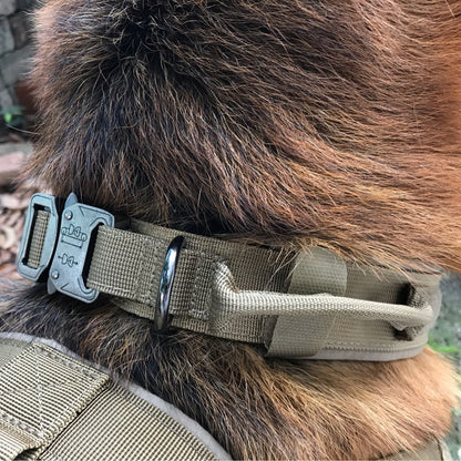 Heavy Duty Tactical Military Dog Collar