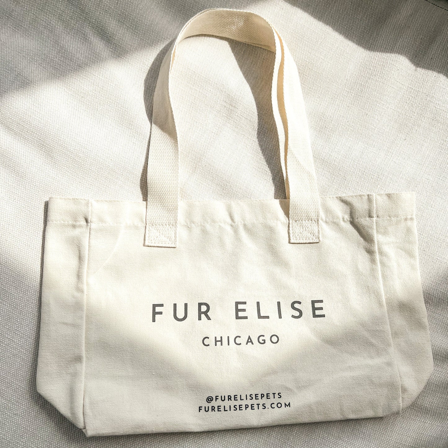 Logo Canvas Tote Bag