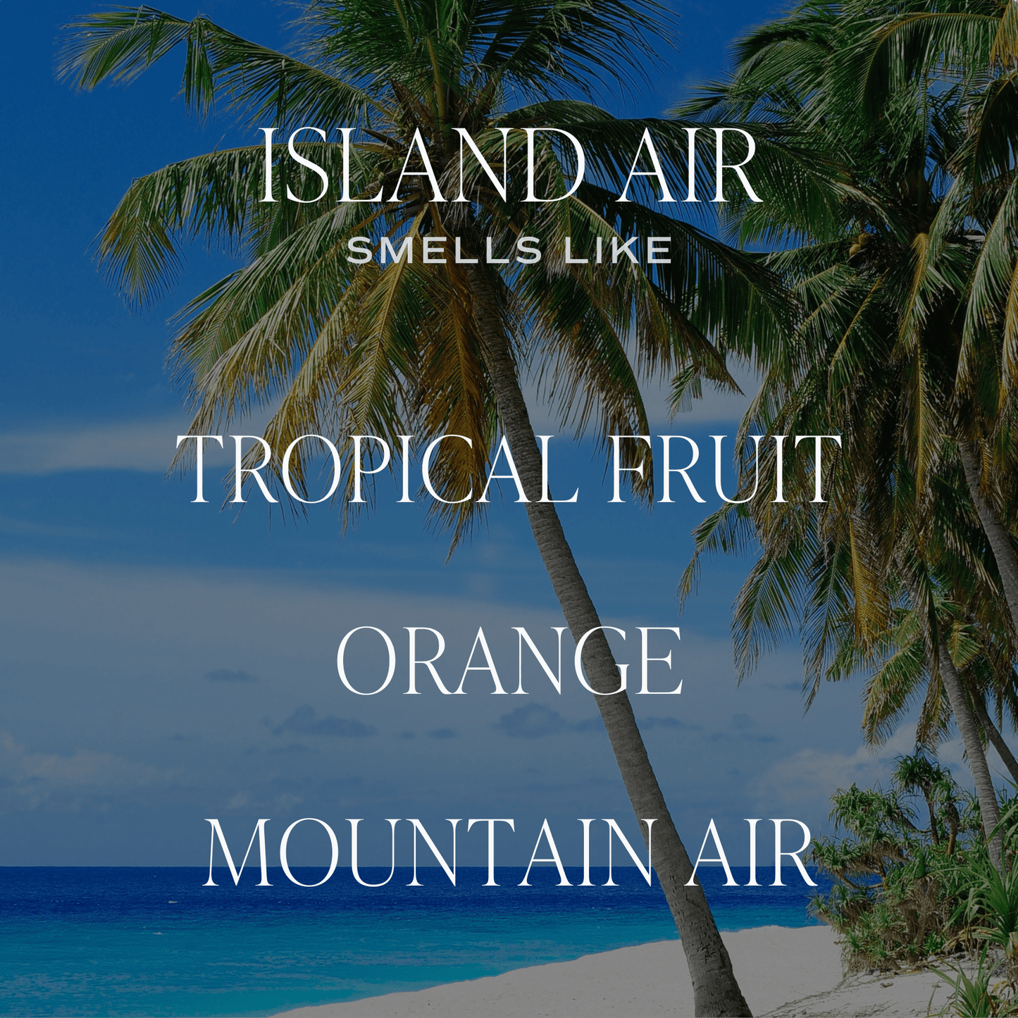 Island Air Tinted Glass Jar Reed Diffuser