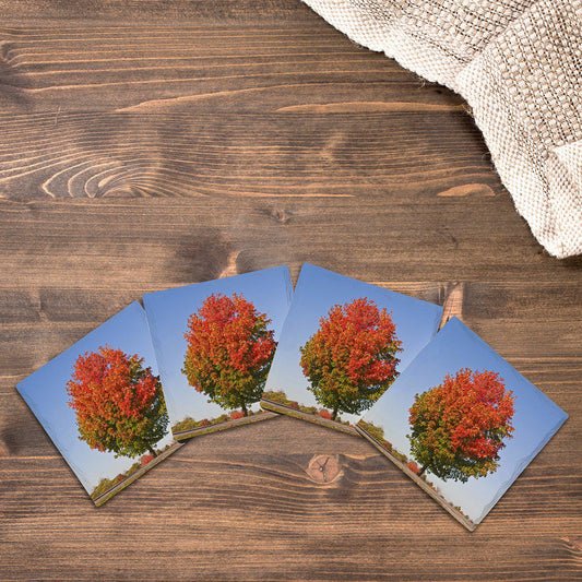 Fall Tree |Drink Coaster Set