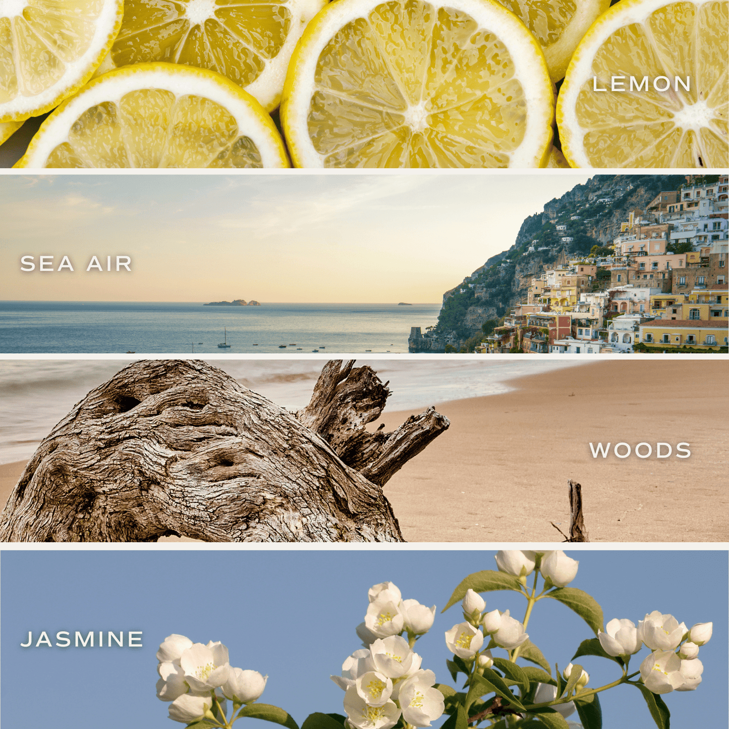 Coastal Lemon Soy Candle - Clear Jar - 9 oz