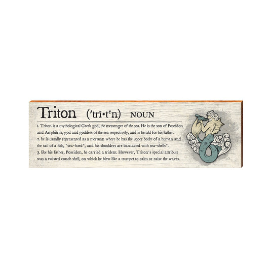 Triton Definition Wooden Sign | Wall Art Print on Real Wood