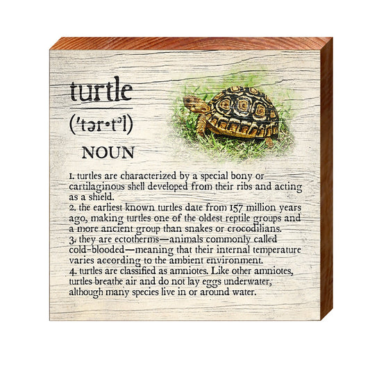 Turtle Definition Wooden Sign | Wall Art Print on Real Wood