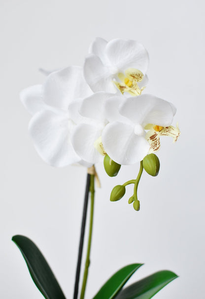 14" Faux Potted Orchid White