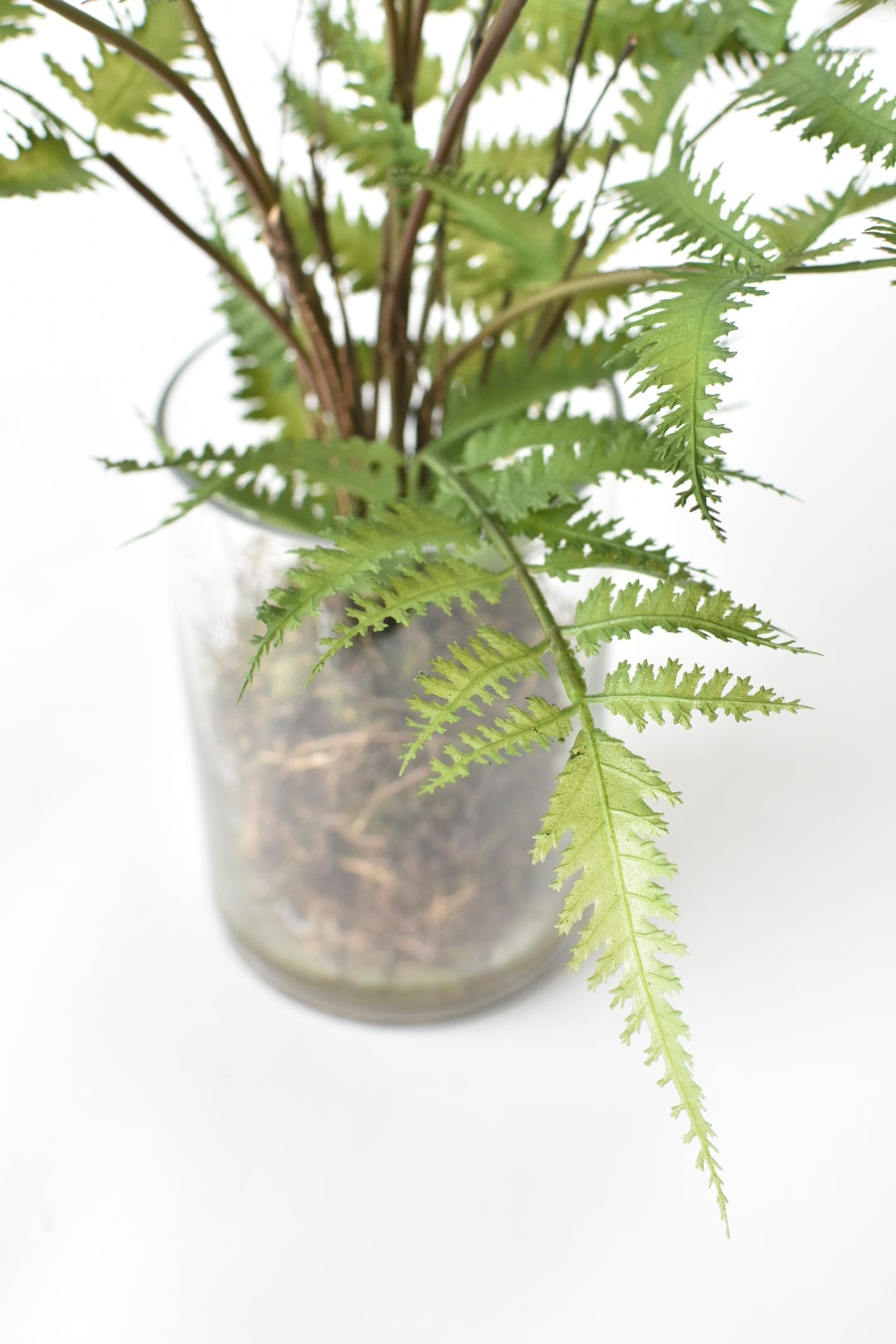 25" Faux Forest Fern in Glass Vase