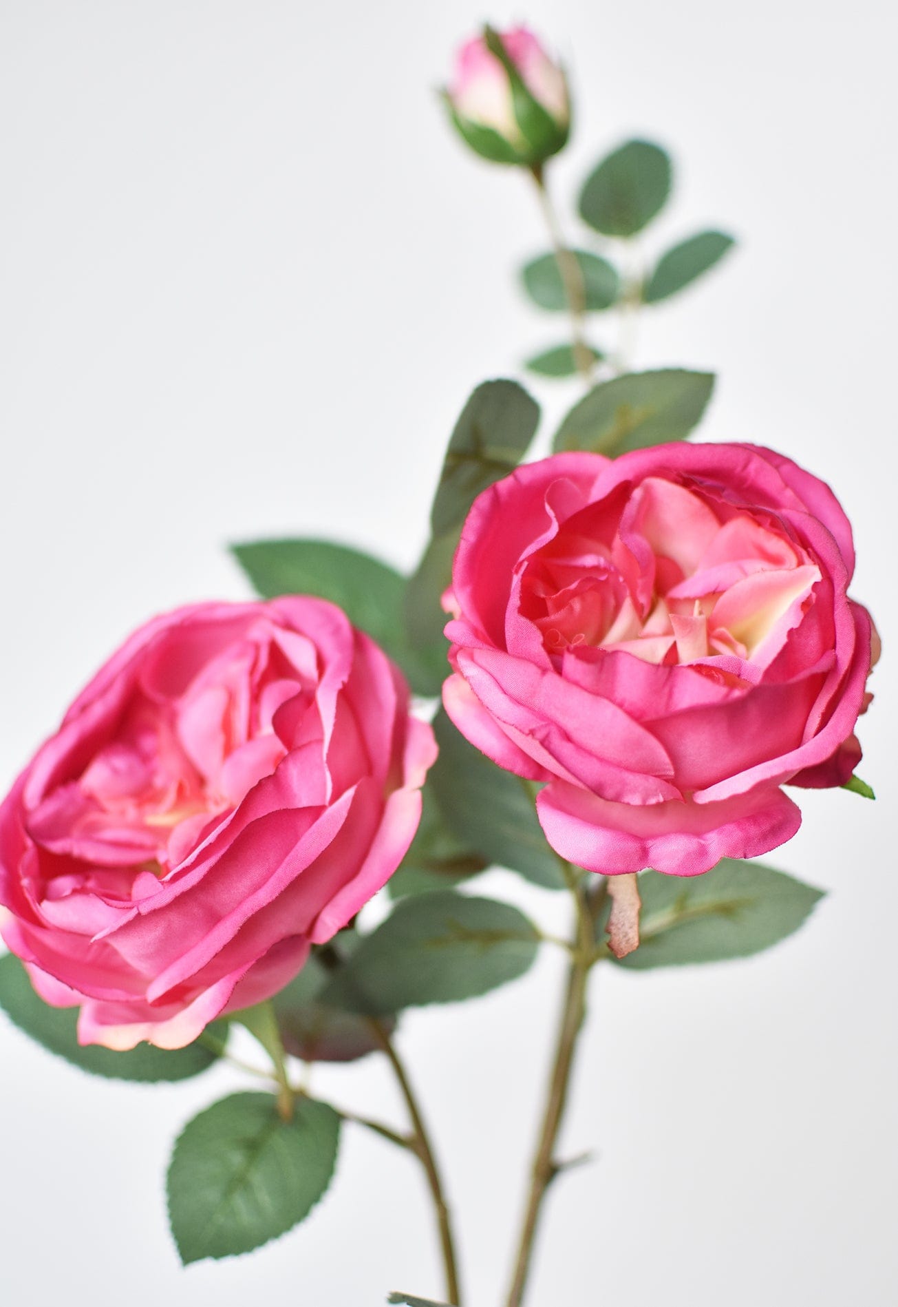 29" Faux Fuchsia Cabbage Rose Stem