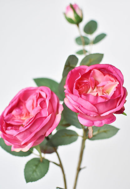 29" Faux Fuchsia Cabbage Rose Stem