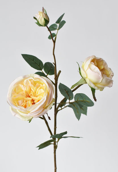 29" Faux Cabbage Rose Stem Yellow / Apricot