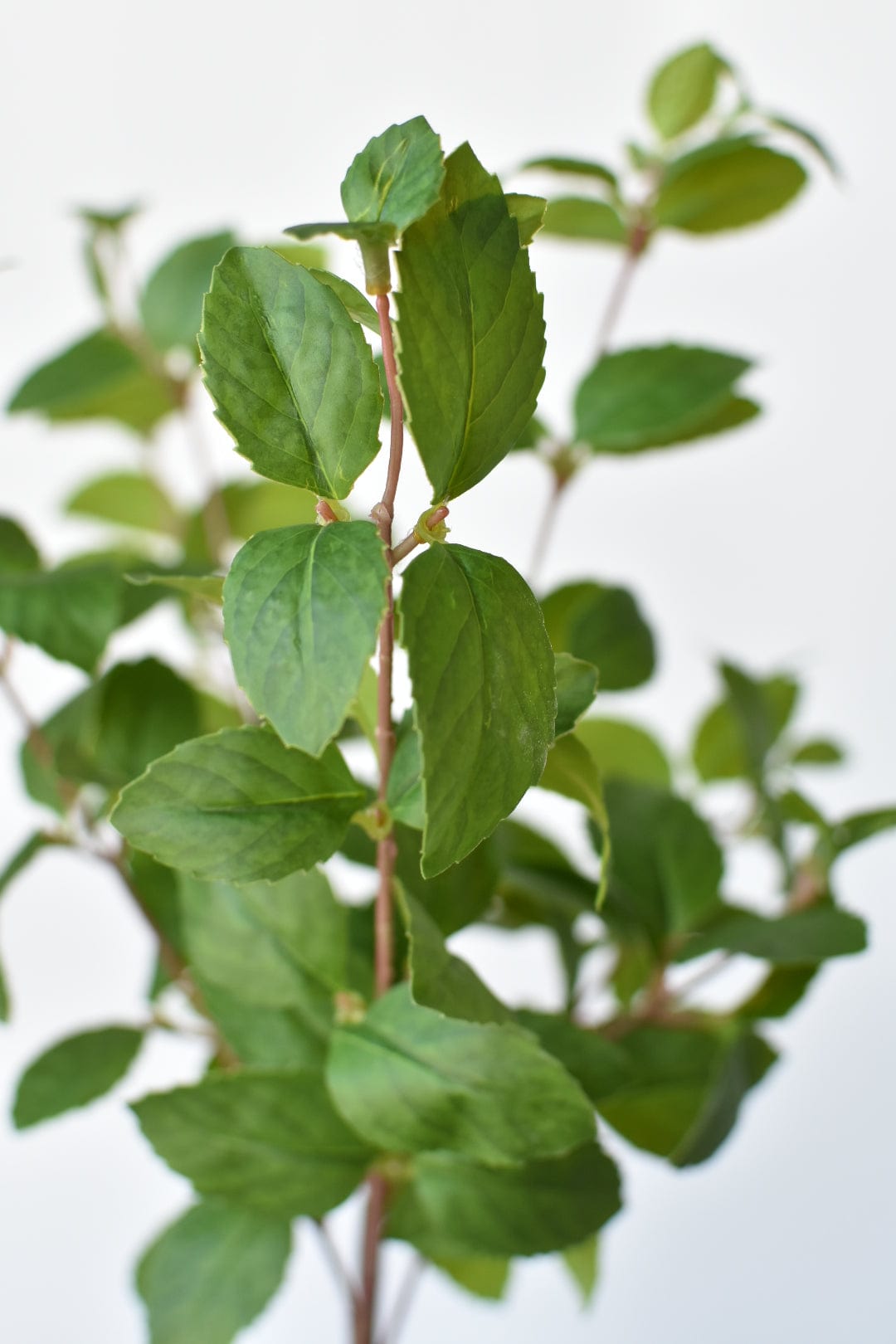 17" Faux Greenery Bush