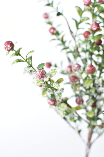 21" Faux Frosted Greenery with Red Berry Stem