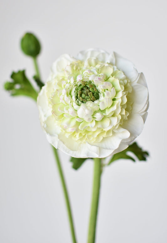21" Faux Double Ruffled Ranunculus Stem White