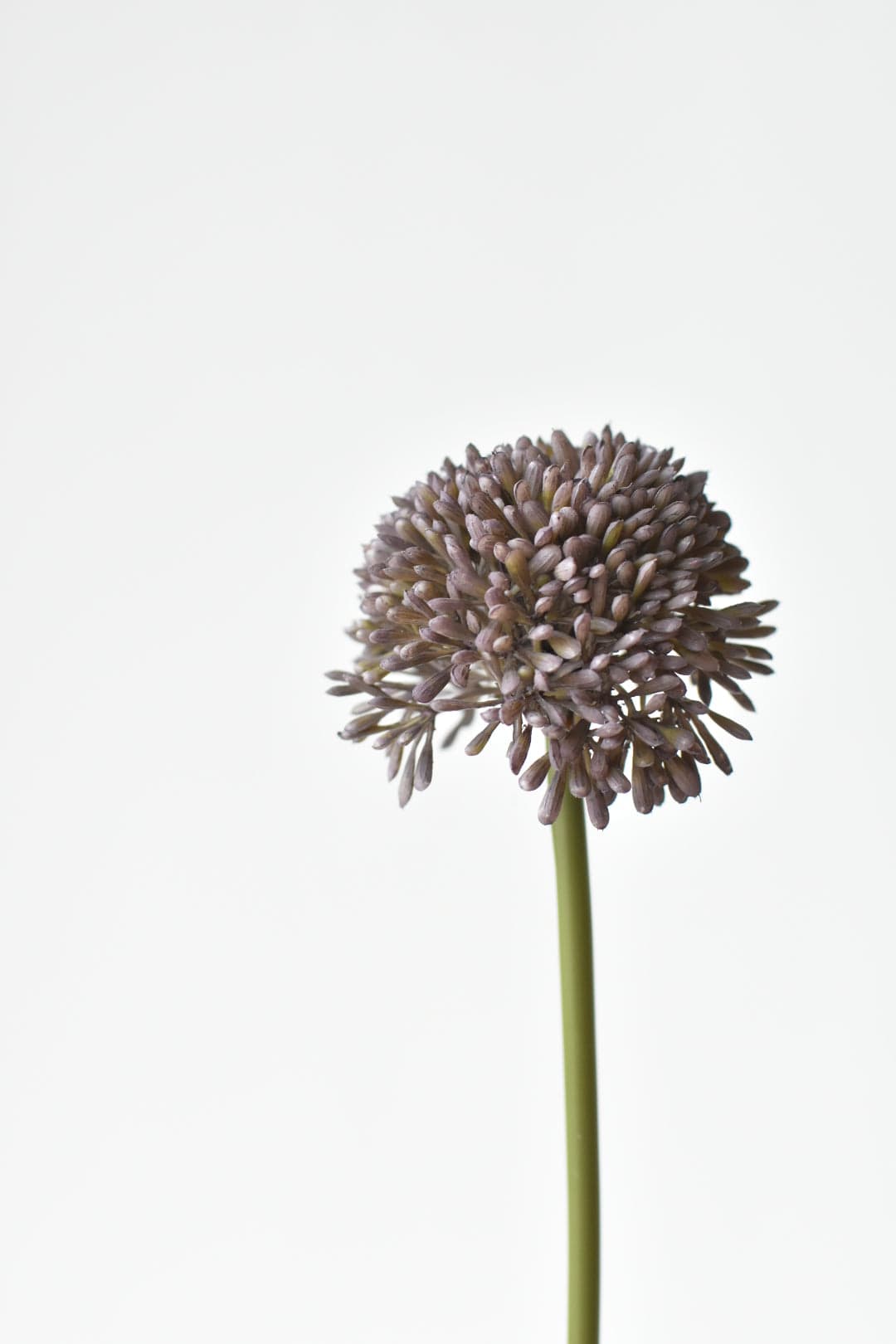 17.5" Faux Purple Allium Spray Stem