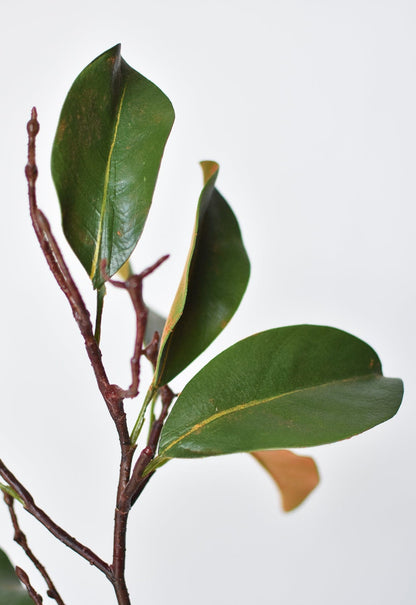 26" Faux Magnolia Leaf Branch Stem