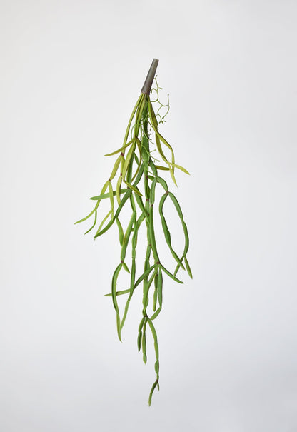 23" Faux Hanging Pencil Cactus Succulent Bush