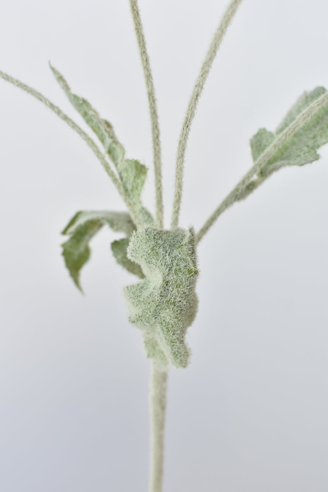 24" Faux Red Poppy Stem