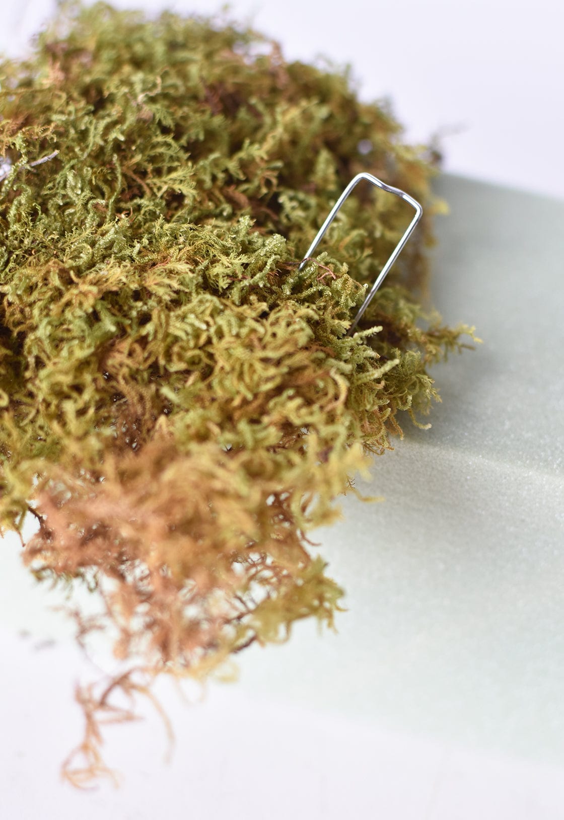 Faux Floral Foam Brick