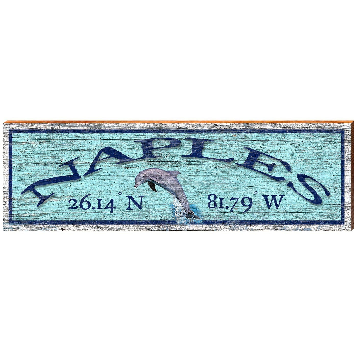 Naples Dolphin Blue Latitude Longitude | Wall Art Print on Real Wood