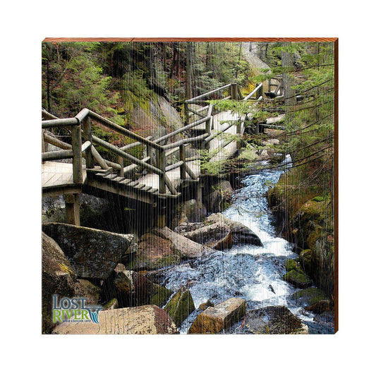 LOS4C1 | Wall Art Print on Real Wood