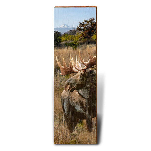 Moose in the Wilderness | Wall Art Print on Real Wood