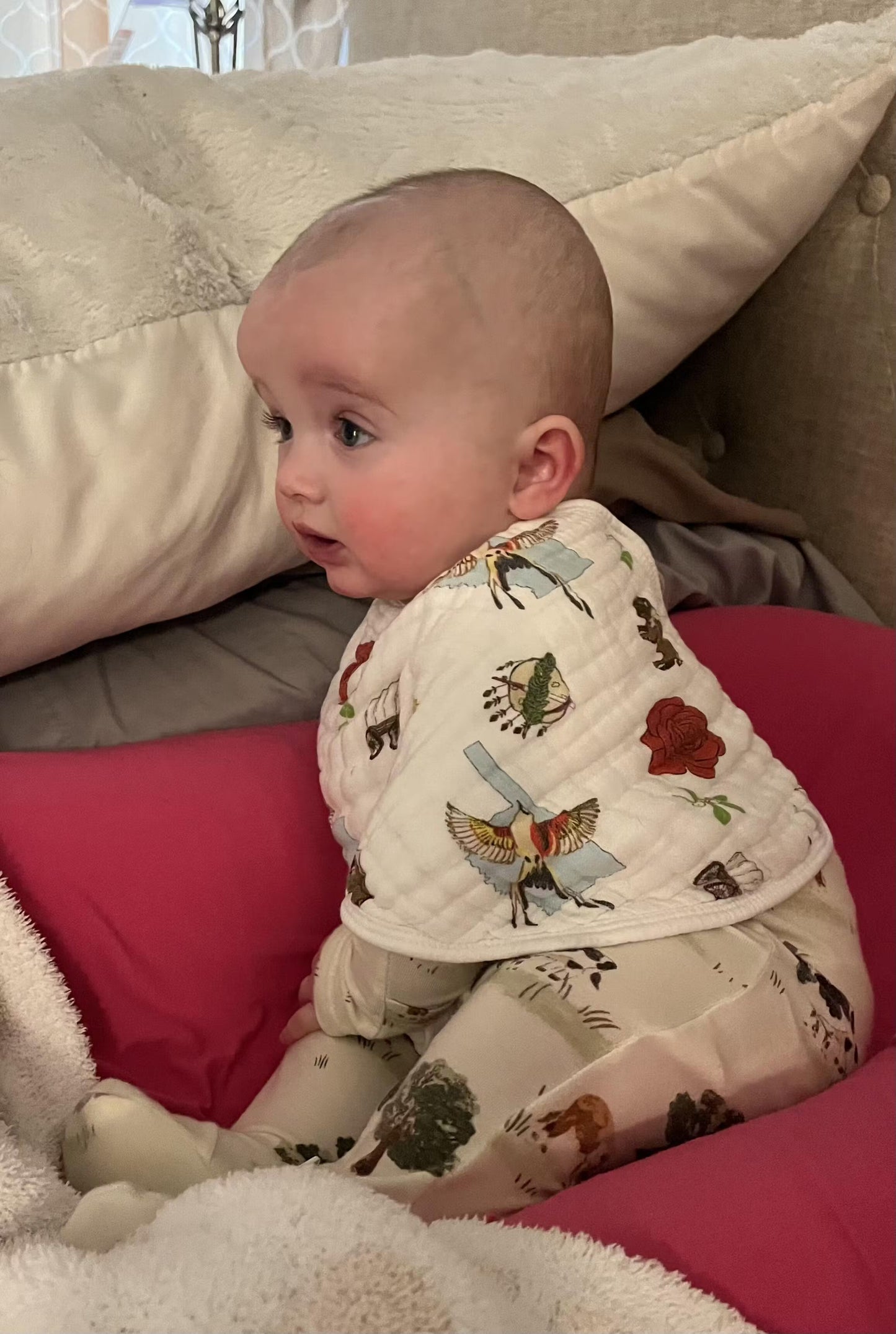 Gift Set: Oklahoma Swaddle Blanket and Burp Cloth/Bib Combo Soft Breathable Bamboo Cotton
