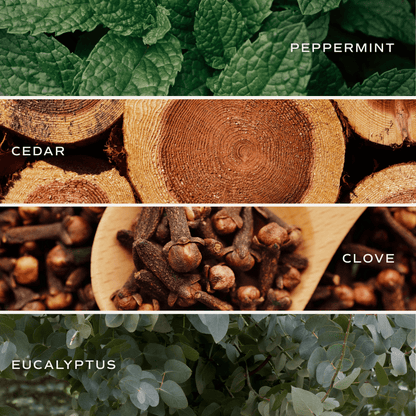 Relaxation Clear Reed Diffuser