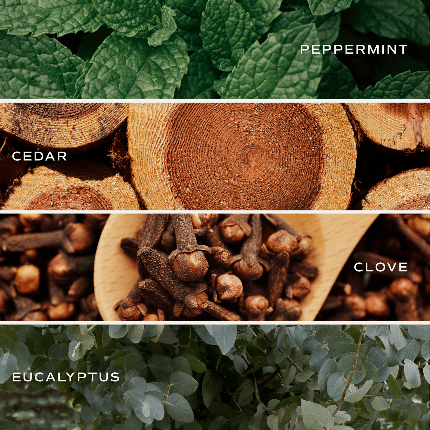 Relax, Girl Soy Candle - Clear Jar - 9 oz (Relaxation)