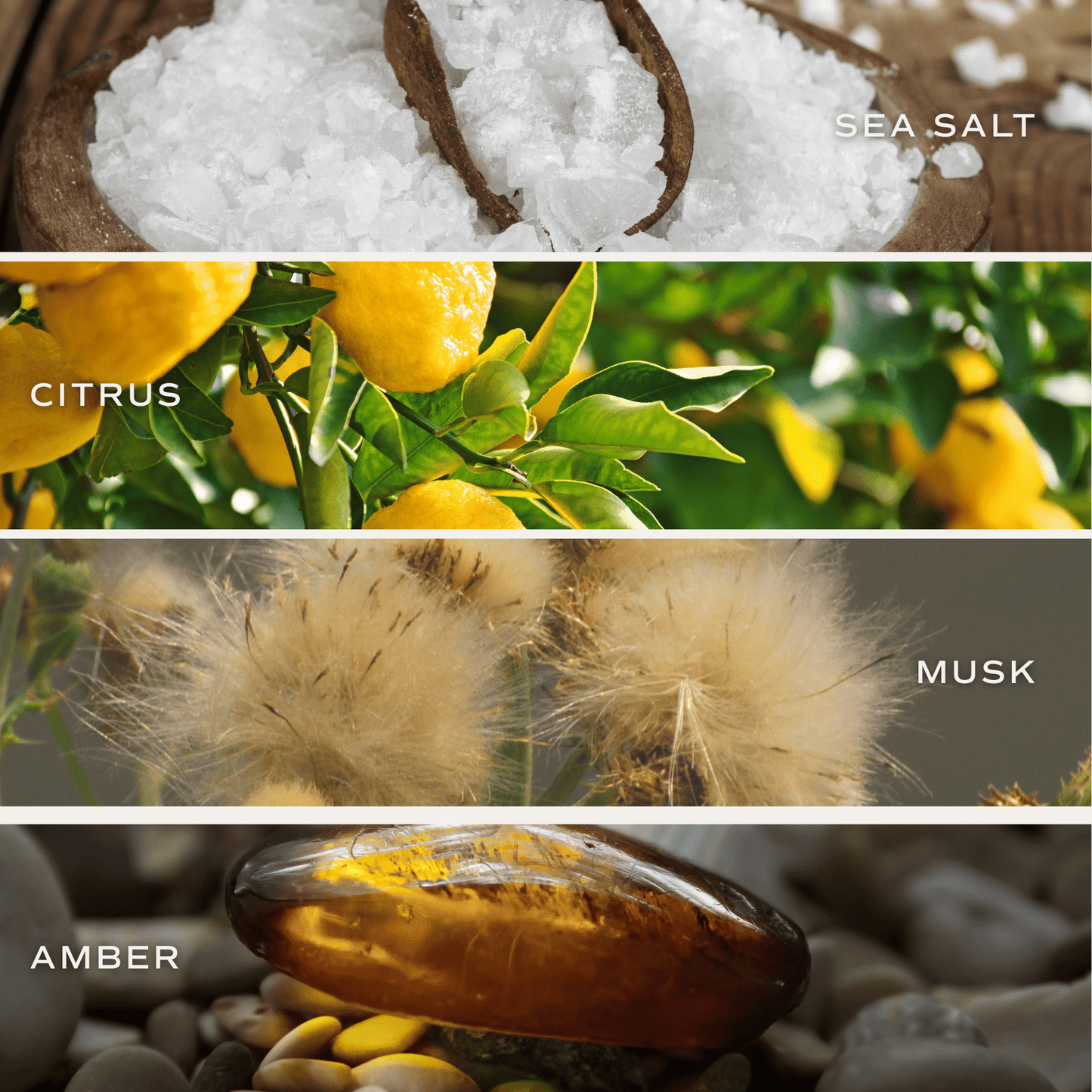 Salt and Sea Soy Patterned Candle - Clear Jar - 9 oz