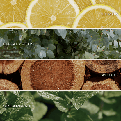 Stress Relief Clear Reed Diffuser