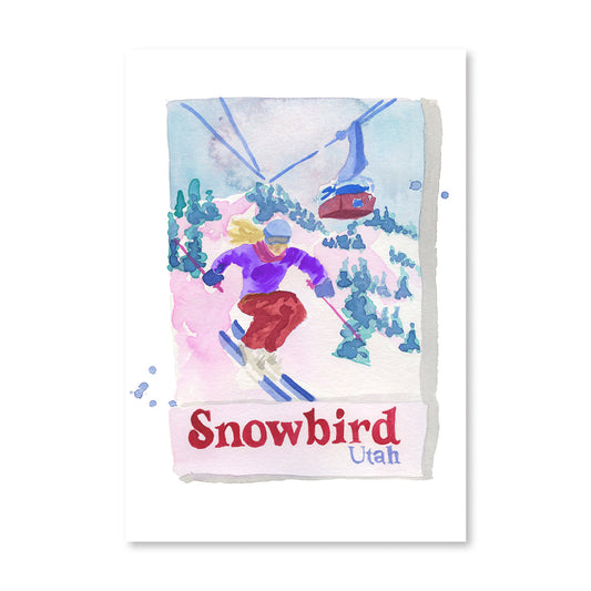 Snowbird Matchbook Art Print