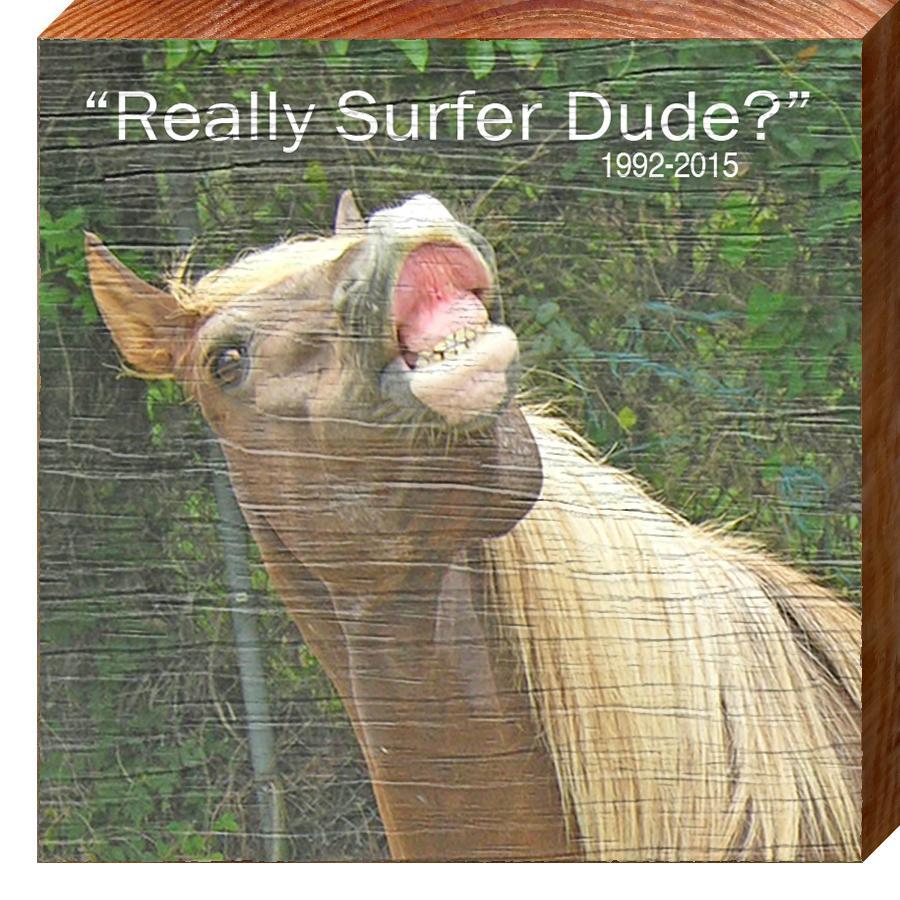 Horse Really Surfer Dude TRE9 | Wall Art Print on Real Wood