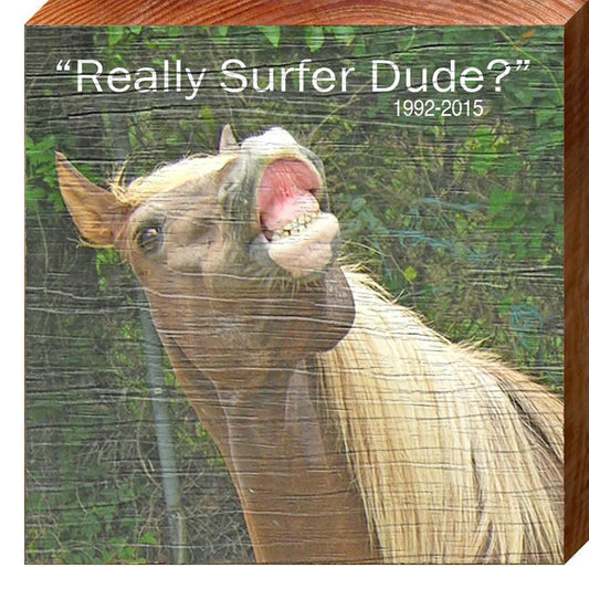 Horse Really Surfer Dude TRE9 | Wall Art Print on Real Wood